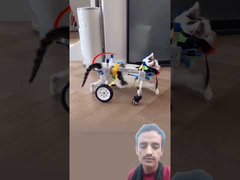 قوتها لم تكن في جسدها بل في روحها التي لم تعرف الاستسلام اكسبلور دويتو لايك  