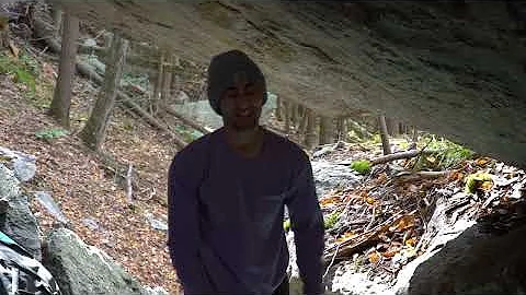 V17 Project in New York