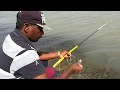 hyderabad village fishing rahu fish catching.