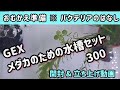 【水槽立ち上げ】GEX メダカ元気✨️メダカのための水槽セット