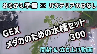 【水槽立ち上げ】GEX メダカ元気✨️メダカのための水槽セット