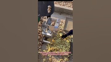 Ginger slicer, electric slicer, potato and sweet potato slicer