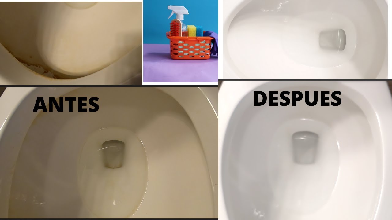 PASTA PARA LIMPIAR EL Quitarle el sarro a la Taza de Baño YouTube PASTA PARA LIMPIAR EL Quitarle el sarro a la Taza de Baño YouTube
