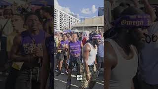 Atlanta Greek Picnic 2025 Was A Vibe