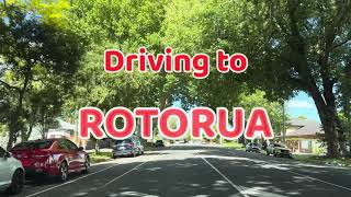 Driving to ROTORUA from HAMILTON | New Zealand