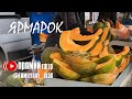 26.10.25р ЯРМАРОК відбувається прямий ефір