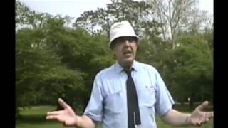 Stephen Berg & Tom Chimes Sleeping Woman Video 1992