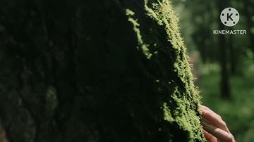 قصة شاب مع الاستغفار وسورة البقرة ورؤى جميلة