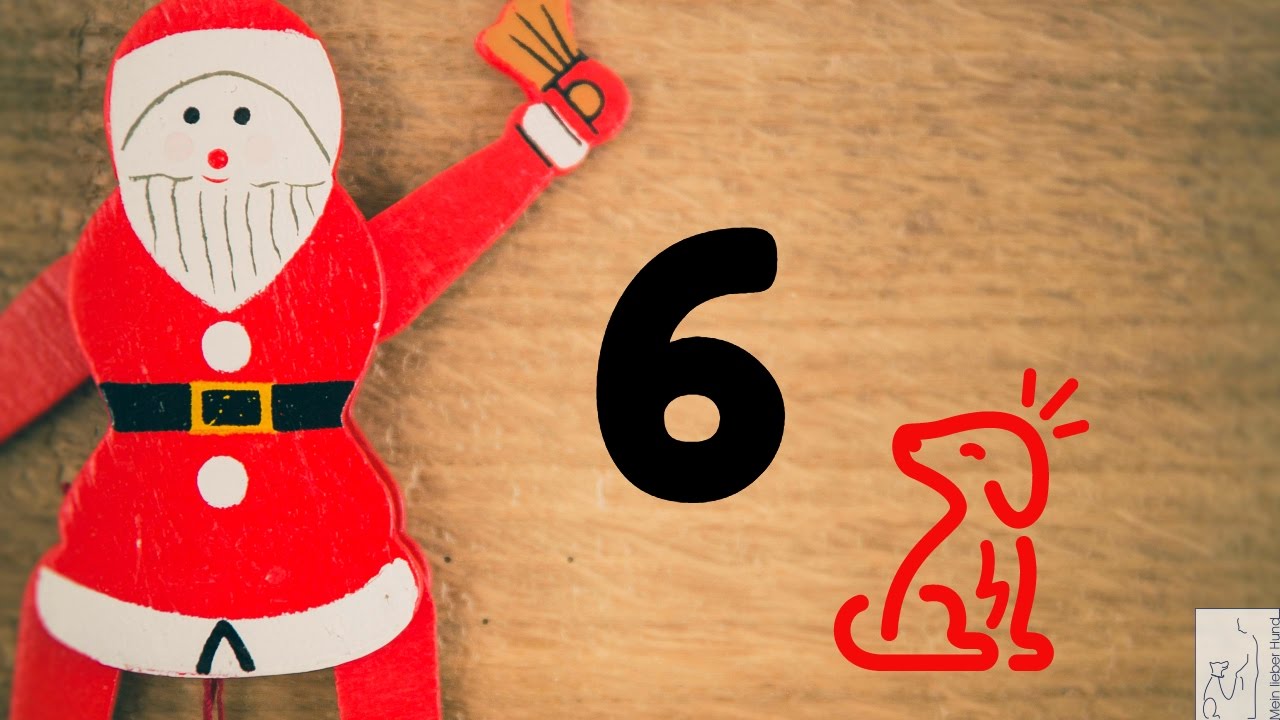 Adventskalender Hund 6 Ein Welpe ist ein Welpe YouTube