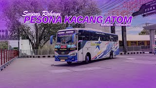 SUGENG RAHAYU PESONA KACANG ATOM ON DUTY !!! FULL TRIP SURABAYA - YOGYA || ETS 2 INDONESIA screenshot 4