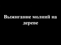 Молнии на дереве, выжигание током по дереву.