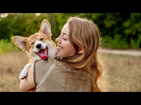 Video: Mer än 1 miljon hushåll ger bort husdjur varje år avslöjar ASPCA-forskning