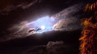 Blue Moon Sha Na Na Grease