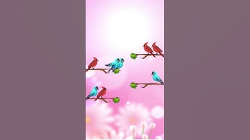 shorts_videos_#birds_#youtube_#youtubeshorts_#shorts_#short_#gaming_#games_#gameplay_#trendingshorts