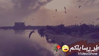 حالاَت واتساب  ويه الطيور الطيارة