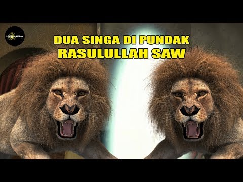 ada-dua-singa-di-pundak-rasulullah-yang-siap-memangsa-abu-jahal