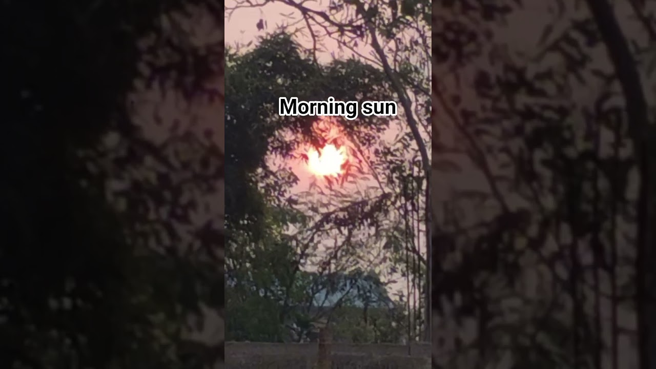 morning  sun picture