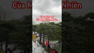 Bualoi - Cơn thịnh nộ từ Mẹ Thiên Nhiên đã tới Hà nội  #bualoi #baoso10