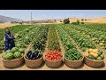  Ismats Zagros Adventure From Wild Fruit Search to Fresh Garden Harvest  mp3