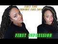 Crochet faux locs  1st time ever 1st impression