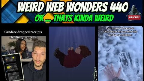 weird web wonders 440