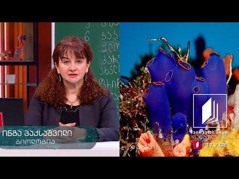 ბიოლოგია, XI კლასი - ევოლუციის მიმართულებები #ტელესკოლა