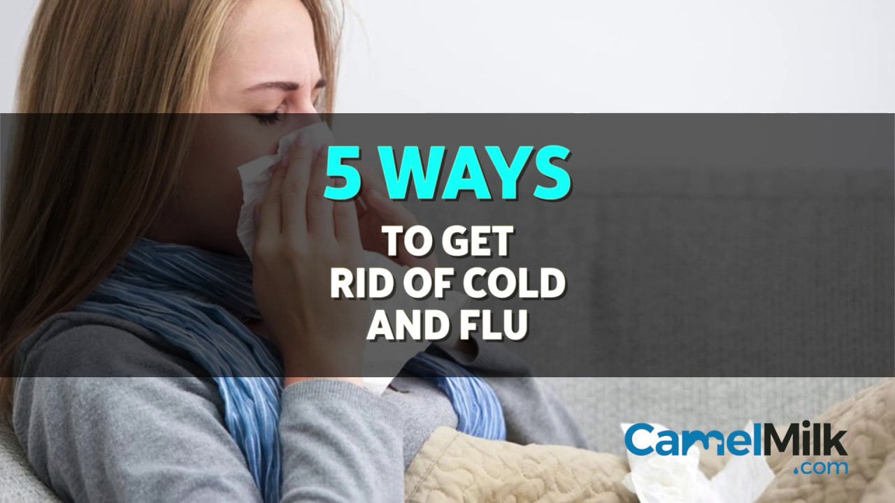 video phone beyonce mp3 Tis The Season: 5 Ways To Get Rid of Cold and Flu