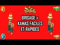 BRISAGE SUR DOFUS : DES KAMAS FACILES ET RAPIDES !
