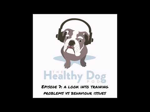 Episode 7: A look into training problems and behaviour issues