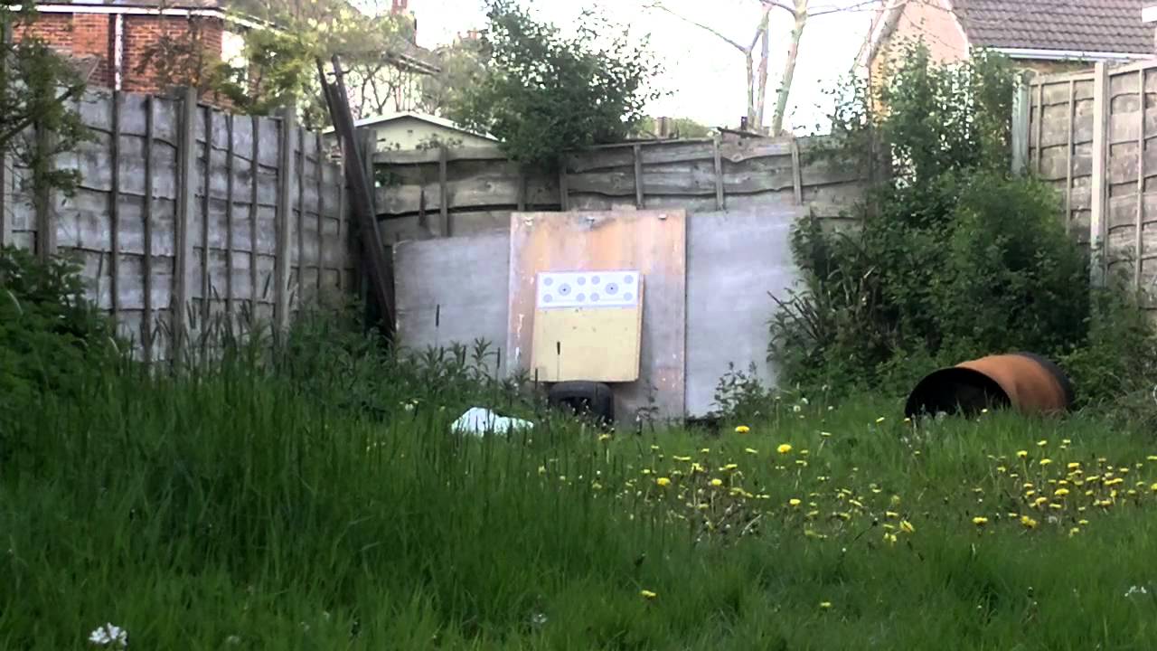 Webley alecto with TR Robbs barrel, HW100 moderator, accupel .177