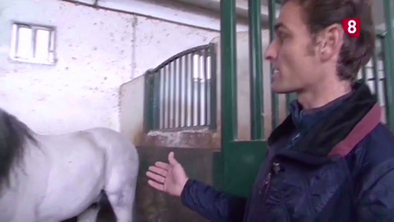 El rejoneador Raúl Martín Burgos presenta su cuadra de caballos