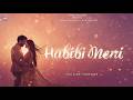 Habibi Meri Romantic Hindi Arabic Mix Song Hindi Love Song Arabic Love Fusion Song Music 