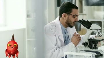 The Fascinating World of Synesthesia Where Senses Collide