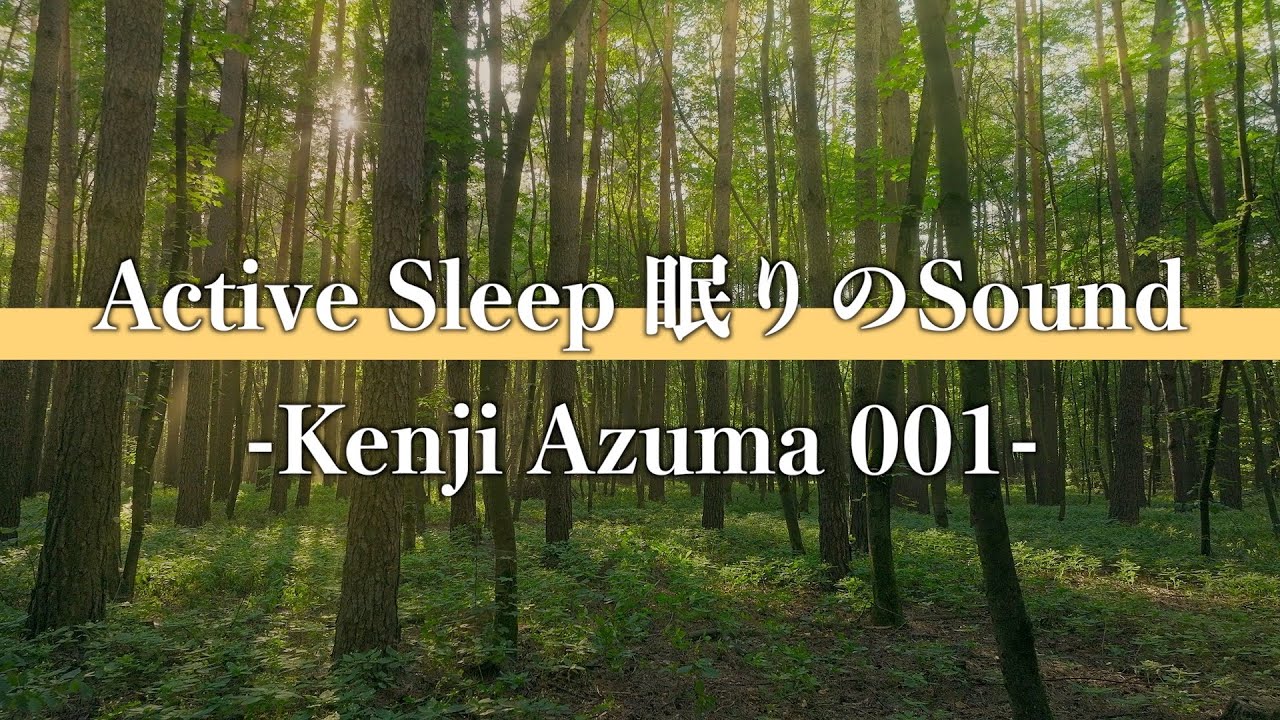 Active Sleep 眠りのSound -Kenji Azuma 001-