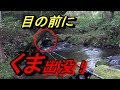 熊が出た！渓流釣り　つりおもしろいさんとコラボ