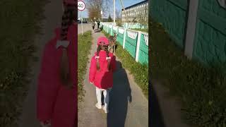 Roe Deer Approaches a Little Girl on the Way to Kindergarten