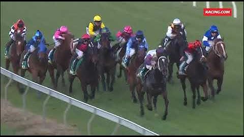 Reine Happy - 7th Win (Donald 10th August 2019)