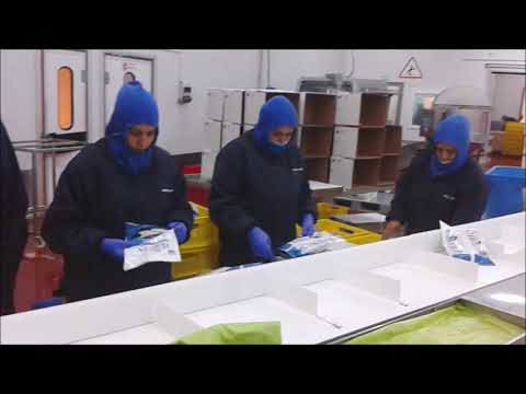 Video: Doldurulmuş Balık Parçaları