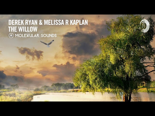 Derek Ryan & Melissa R. Kaplan - The Willow