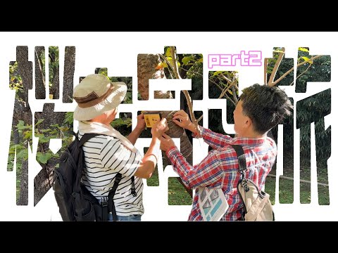 【北海道】桜を守る旅、あなたの手で。|北海道松前町おたすけ旅 Part2