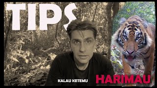 TIPS kalau ketemu HARIMAU