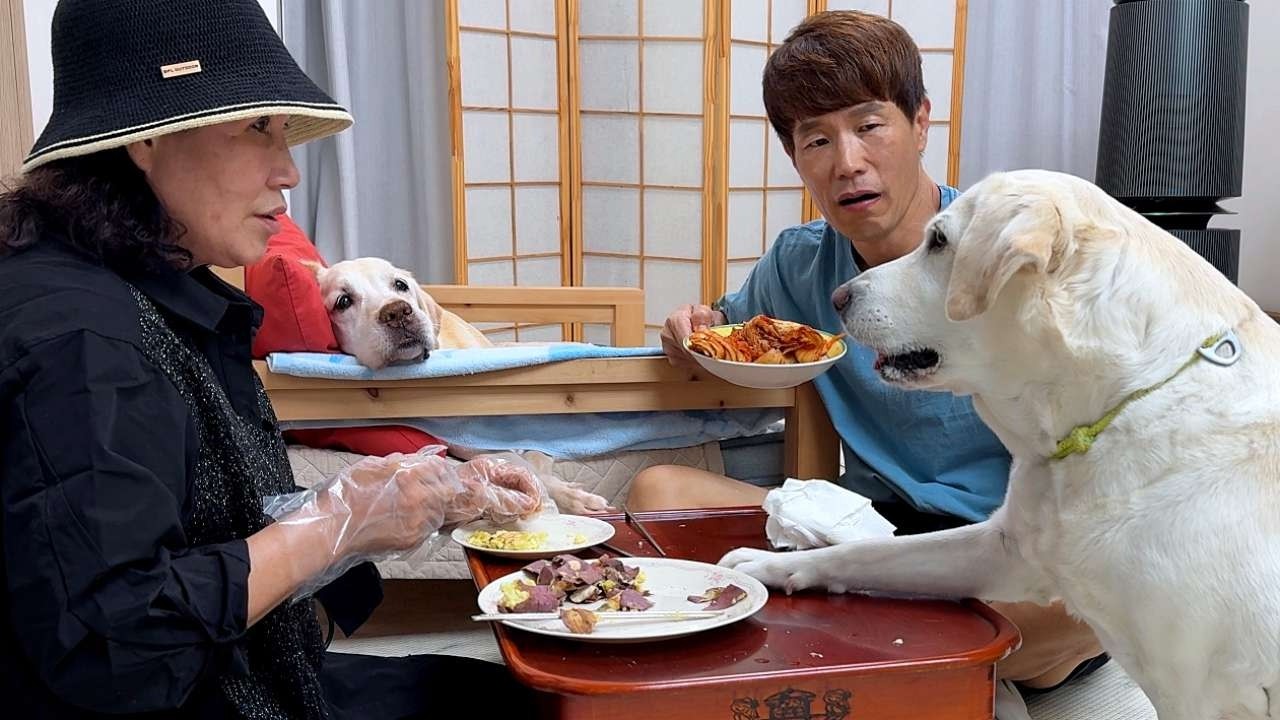 똑같이 주는 척하면서 언니만 고구마 많이 줬더니 밥상 뒤집는 리트리버