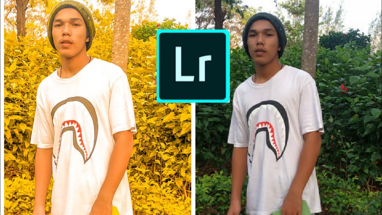 Tutorial Edit  Foto Warna  Daun Kuning Di aplikasi  LIGHTROOM 