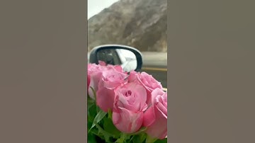 #آية_الكرسي #سورة_البقرة #القرآن_الكريم #اكسبلور #سورة_الواقعة #nature #آيات #تيك_توك #راحة_نفسية