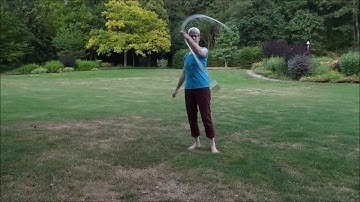 Single Whip, Fiber Grip: Propeller Spins, Iso spins, Iso Tosses  (tutorial notes in description)