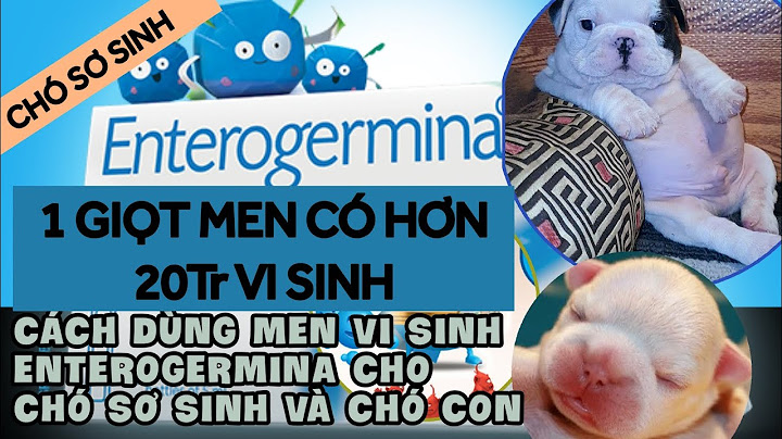 Enterogermina dùng cho trẻ sơ sinh thế nào năm 2024