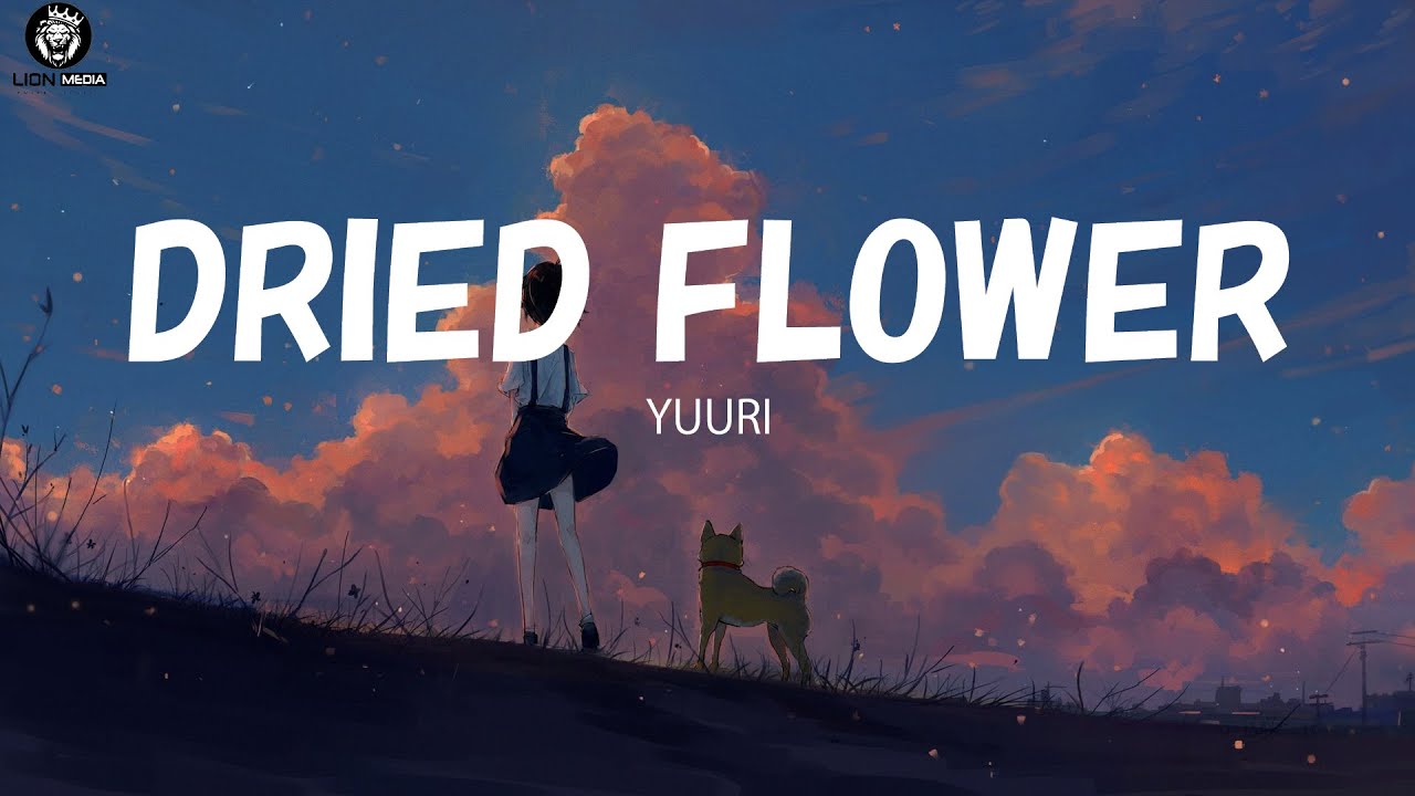 Yuuri 「ドライフラワー」 (Dried Flower) Lyrics YouTube