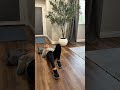 Low core strength starts here!