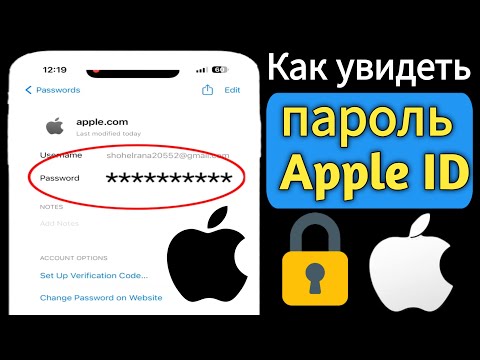 Как посмотреть пароль Apple ID на iPhone 2024 г | Как посмотреть пароль Apple ID, если вы его забыли