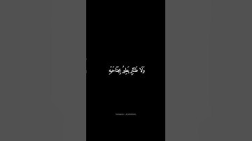 سورة الأنعام | وَمَا مِن دَابَّةٍ فِي الْأَرْضِ #المنشاوي #شاشه_سوداء #قرآن #سورة_الأنعام